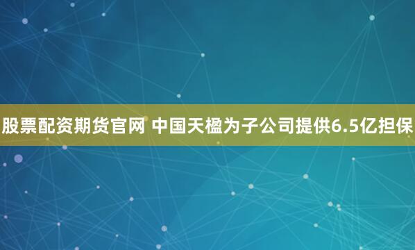 股票配资期货官网 中国天楹为子公司提供6.5亿担保