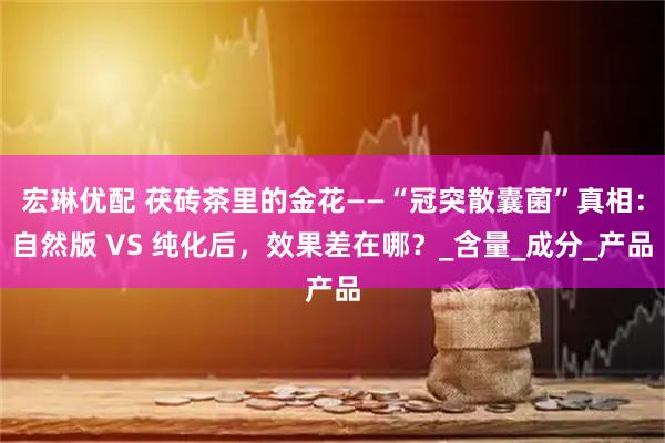 宏琳优配 茯砖茶里的金花——“冠突散囊菌”真相：自然版 VS 纯化后，效果差在哪？_含量_成分_产品