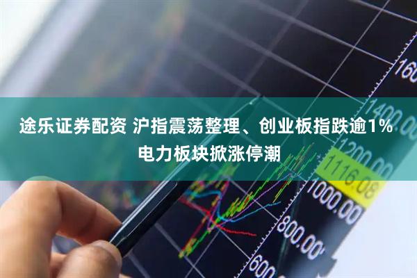 途乐证券配资 沪指震荡整理、创业板指跌逾1% 电力板块掀涨停潮