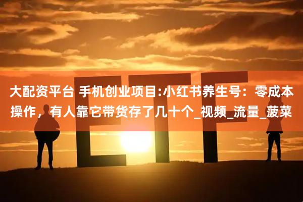 大配资平台 手机创业项目:小红书养生号：零成本操作，有人靠它带货存了几十个_视频_流量_菠菜