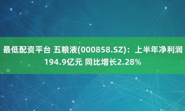 最低配资平台 五粮液(000858.SZ)：上半年净利润194.9亿元 同比增长2.28%