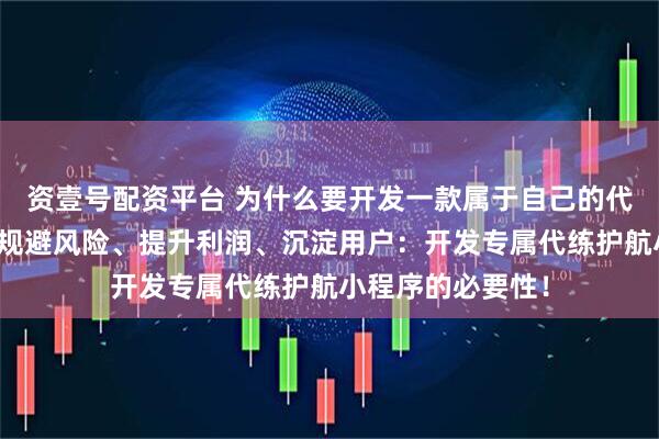 资壹号配资平台 为什么要开发一款属于自己的代练护航小程序？规避风险、提升利润、沉淀用户：开发专属代练护航小程序的必要性！